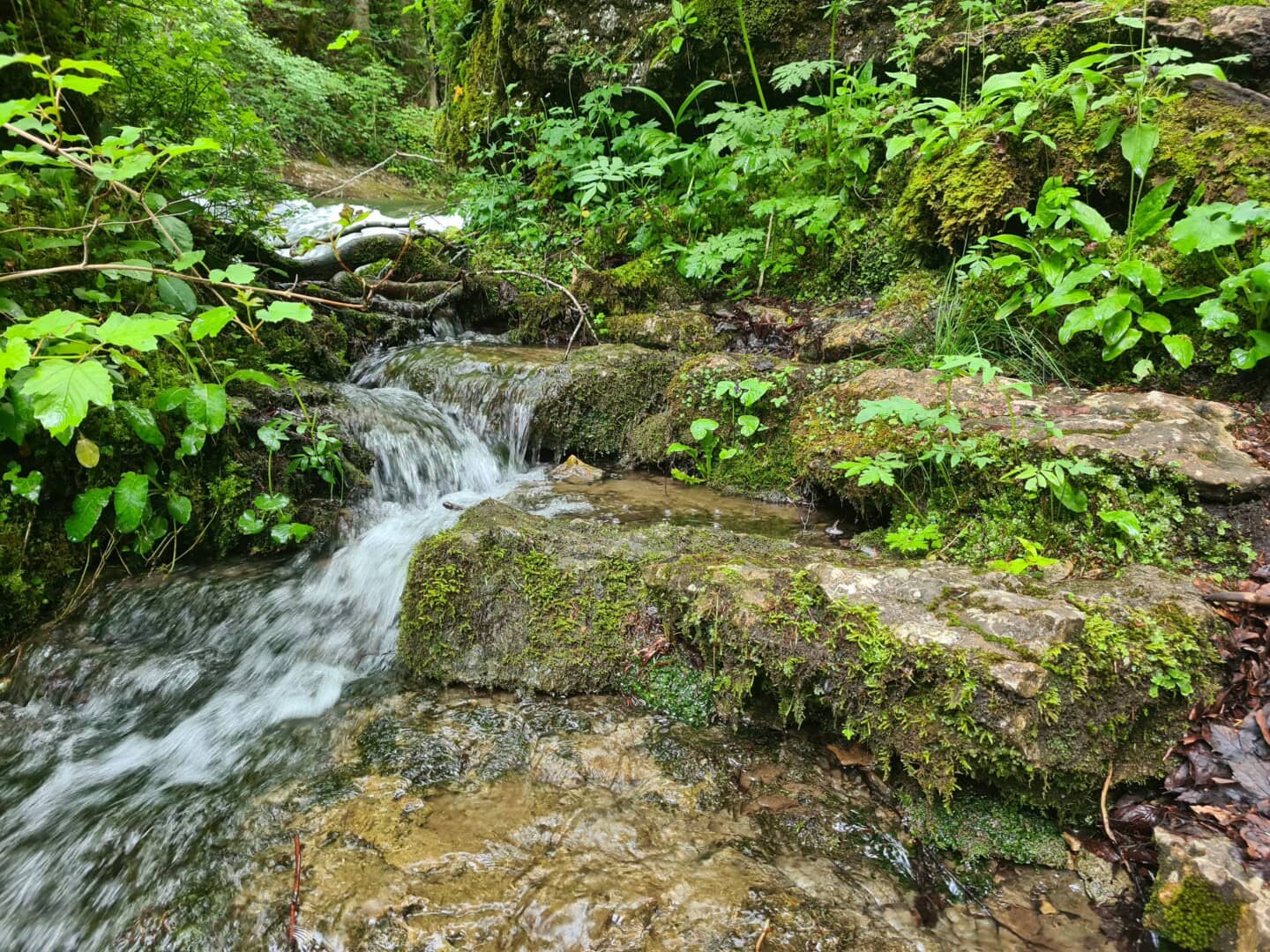 AQ 2026 02 214 Wettbewerbsvorbereitung Kaminski 01 Die Natur ist eine äußerst gute Quelle der Inspiration, hier ein Bachlauf im Jura bei „Les Cascades du Herisson“. Foto: Lukas Kaminski