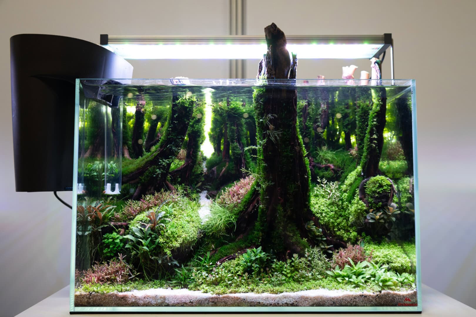 Wie in jedem Jahr waren die Aquarien des Aquascaping-Wettbewerbs ausgesprochen gelungen, die Detailtiefe in dieser letzten Ausgabe war bei allen Teilnehmern besonders hoch. Foto: Silvia Splettstößer