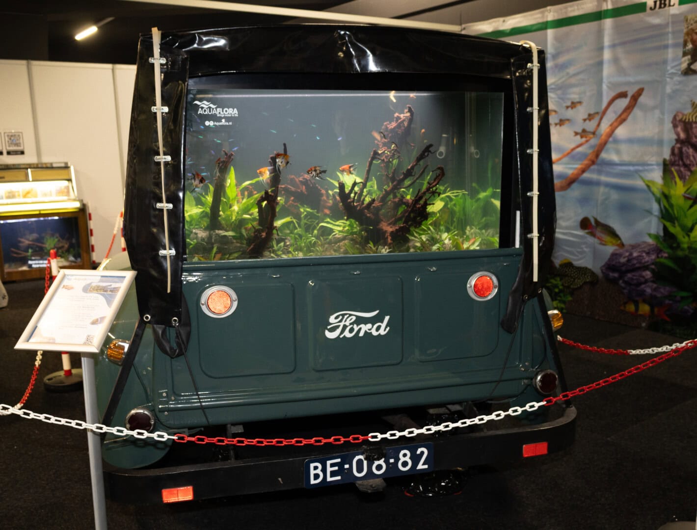 Der Veranstaltungsort ist normalerweise dem Autohandel vorbehalten. Aquaria van Wolferen hat das Thema passend umgesetzt und diesen Oldtimer mit einem imposanten Aquarium auf der Ladefläche ausgestattet. Foto: Silvia Splettstößer