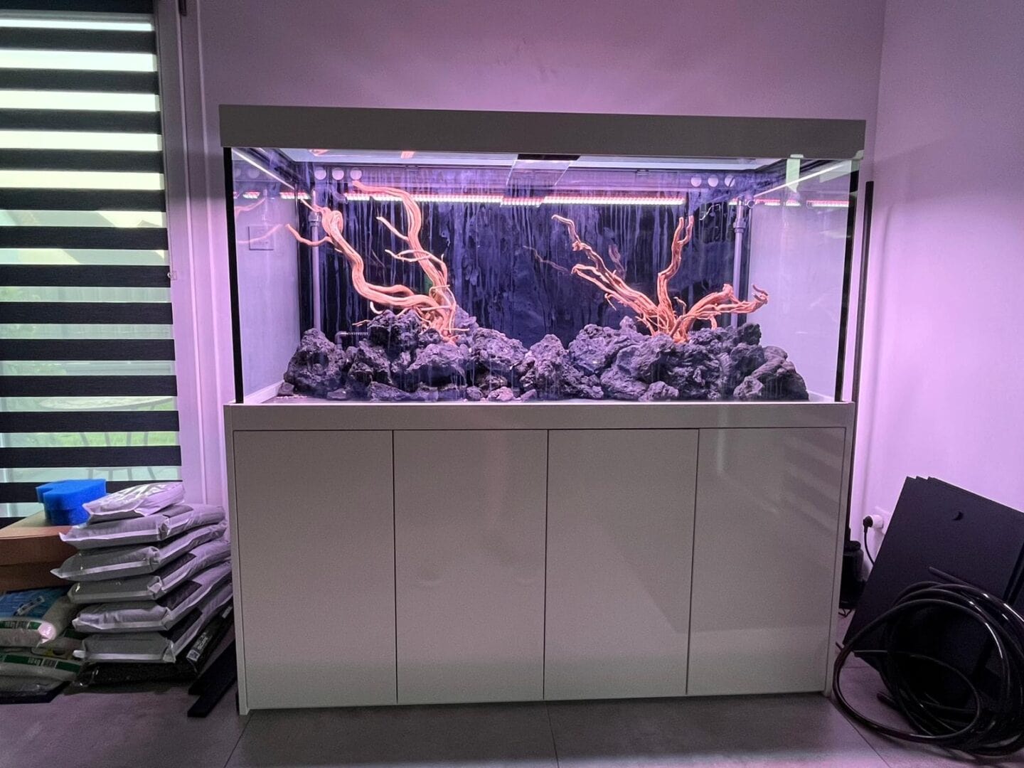 Frankreich 1 aquarienkontor.de