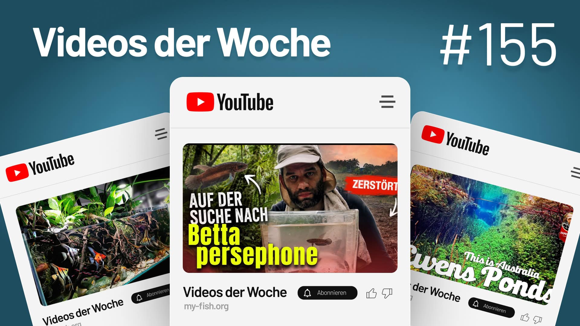 Youtube Videos der Woche 155