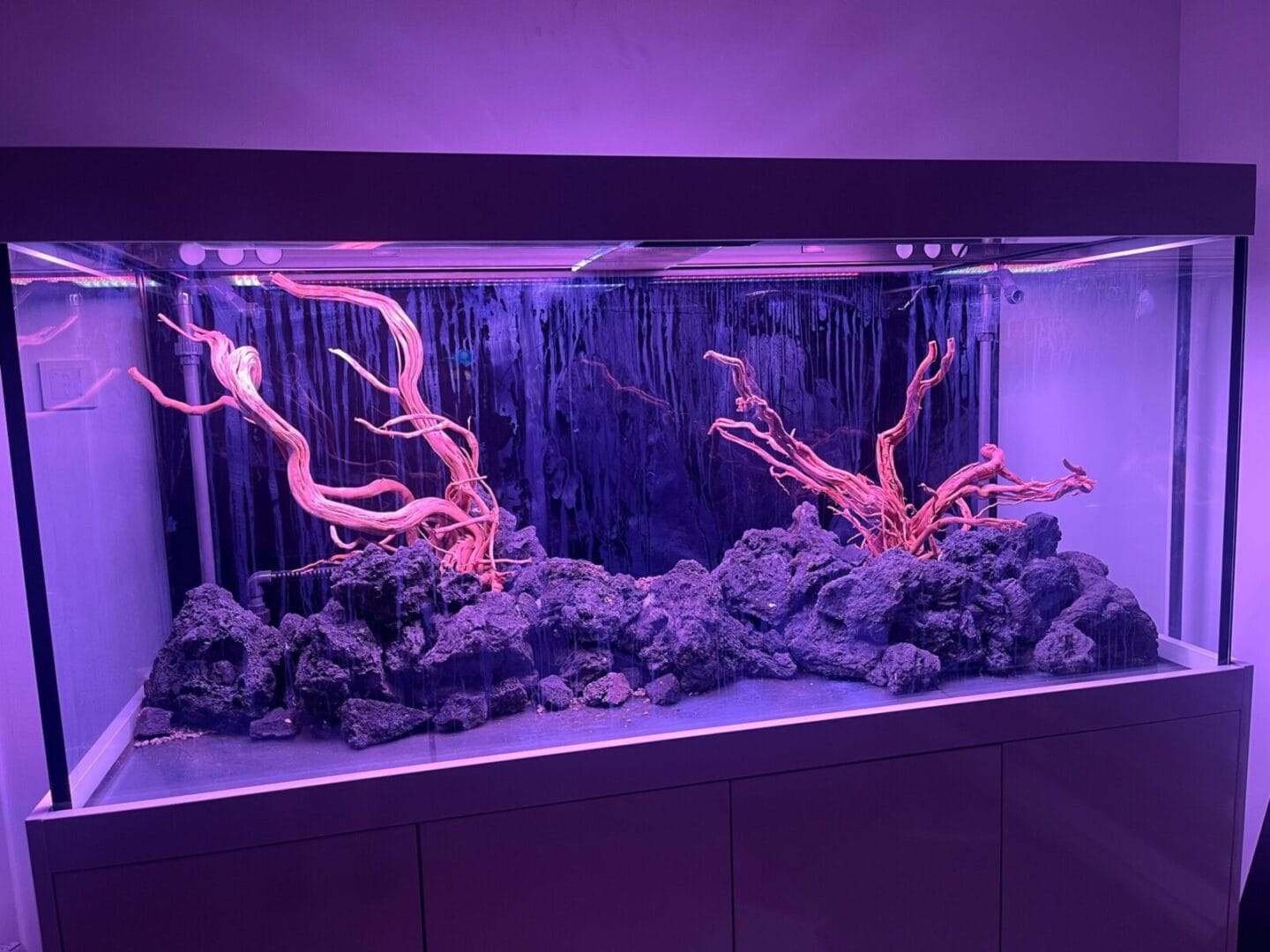 frankreich 4 aquarienkontor.de scaled e1775463501975