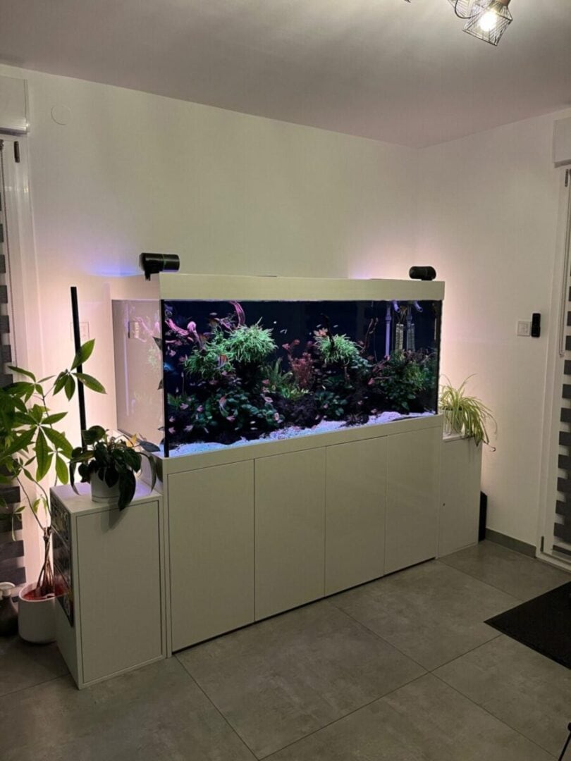 frankreich 8 aquarienkontor.de scaled e1775463533485