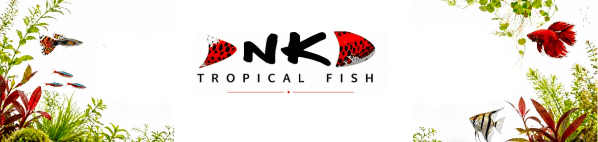 NK Tropical Fish Logo umrahmt von Wasserpflanzen, Salmlern und Kampffischen