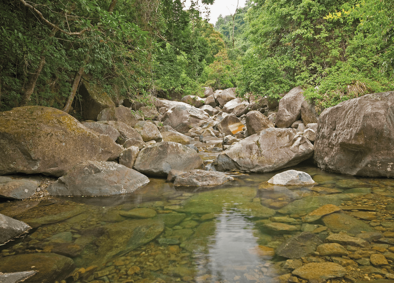 Habitat von Caridina cantonensis in der Provinz Guangdong, China. Foto: Werner Klotz