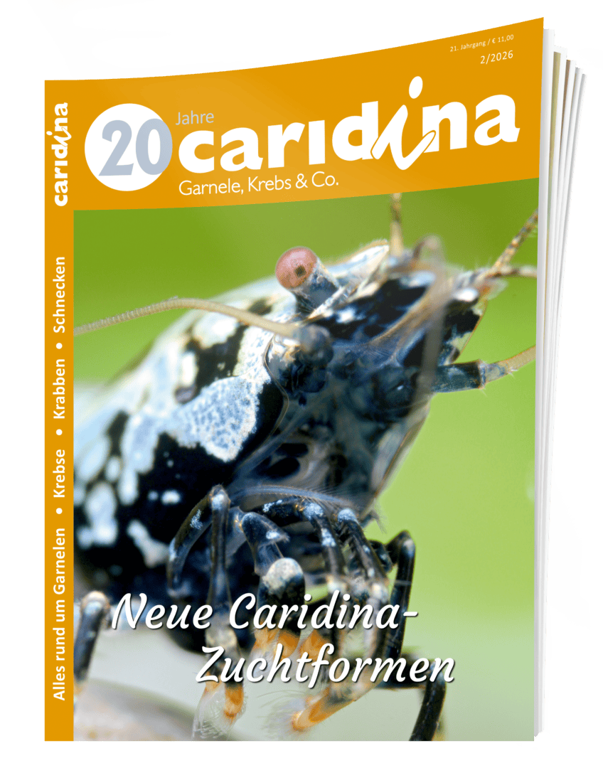 Titelseite des Magazins