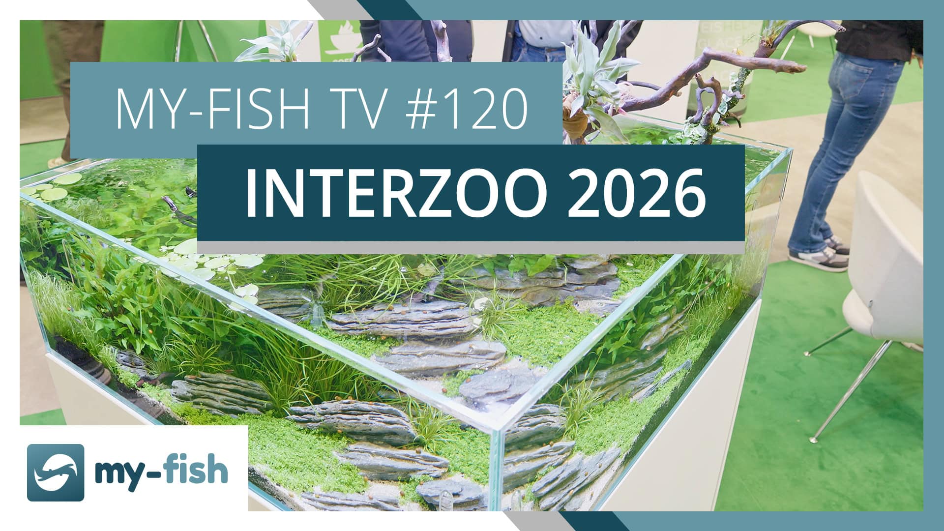 Spektakuläre Aquarien auf der Interzoo 2026 | my-fish TV #120