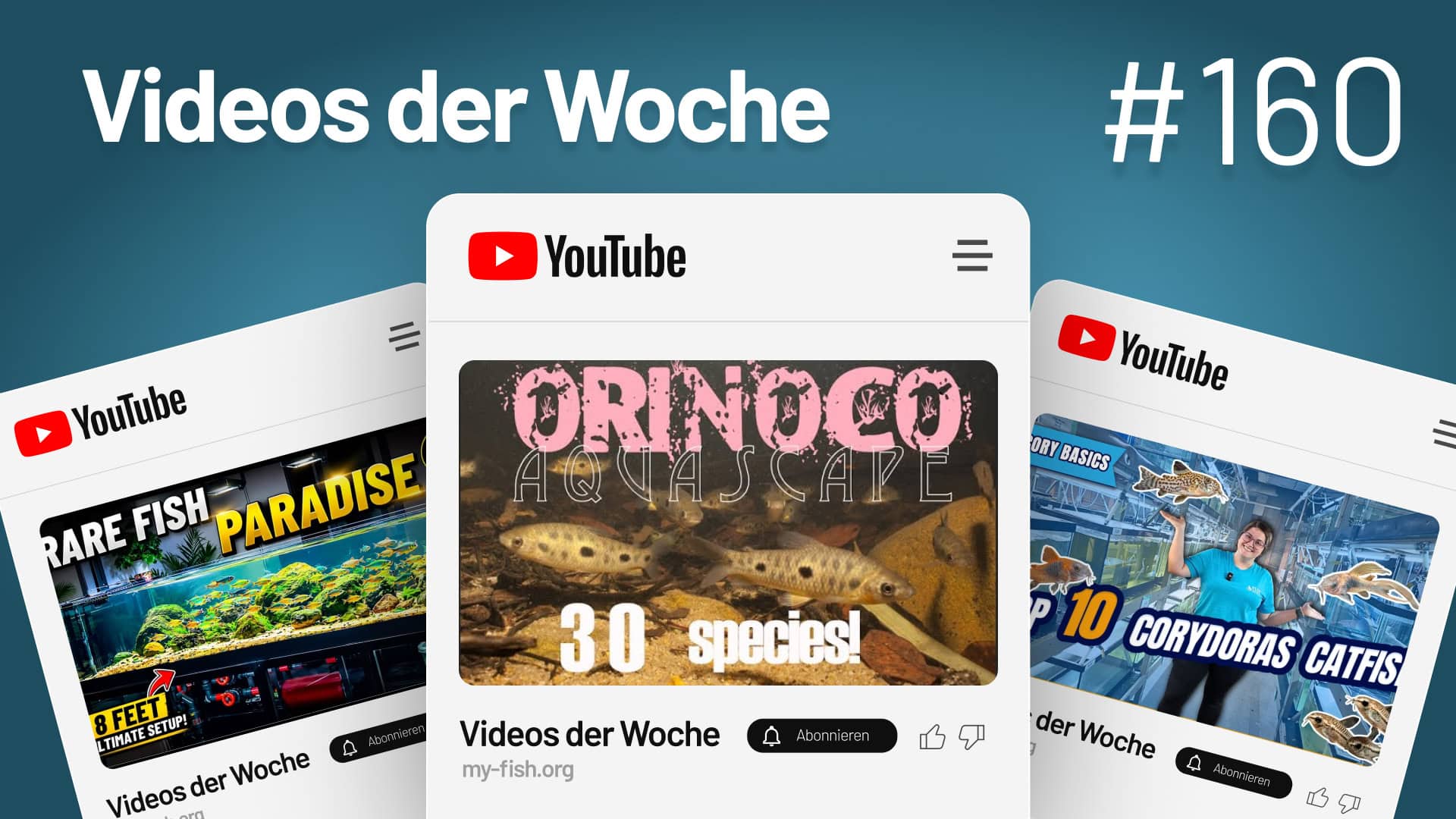 Videos der Woche Vol.160