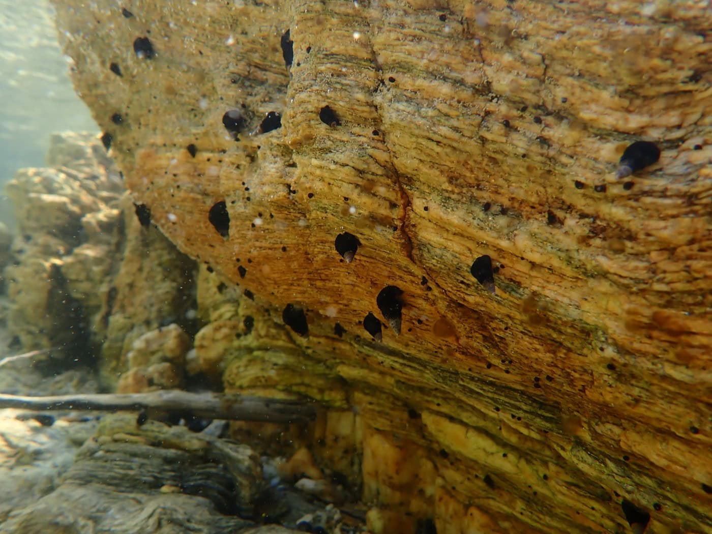 Die Seen auf Sulawesi sind einzigartig und wunderschön.