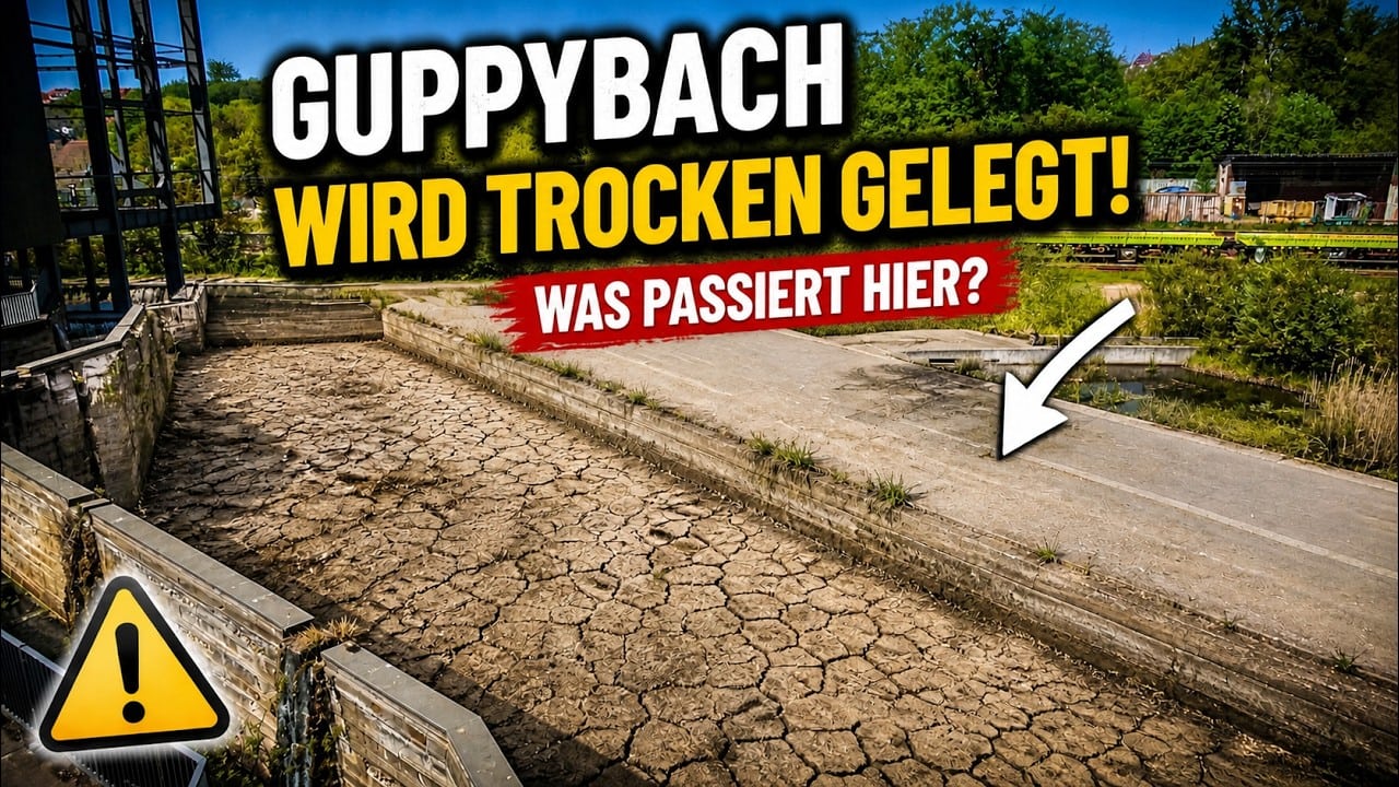 DER GUPPYBACH wird trocken gelegt!