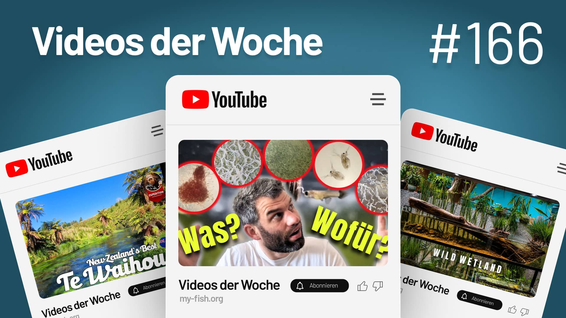 Youtube Videos der Woche 166 Videos der Woche Vol. 166