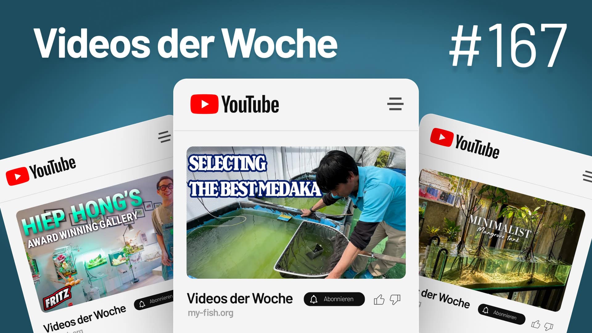 Youtube Videos der Woche 167 Videos der Woche Vol. 167