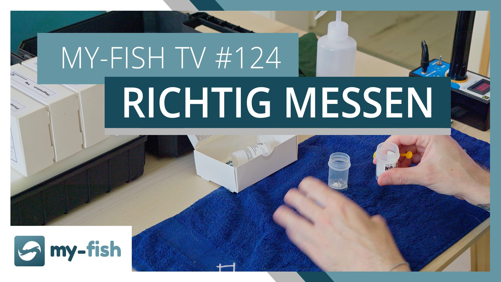 Wasserwerte richtig & verlässlich messen | my-fish TV #124