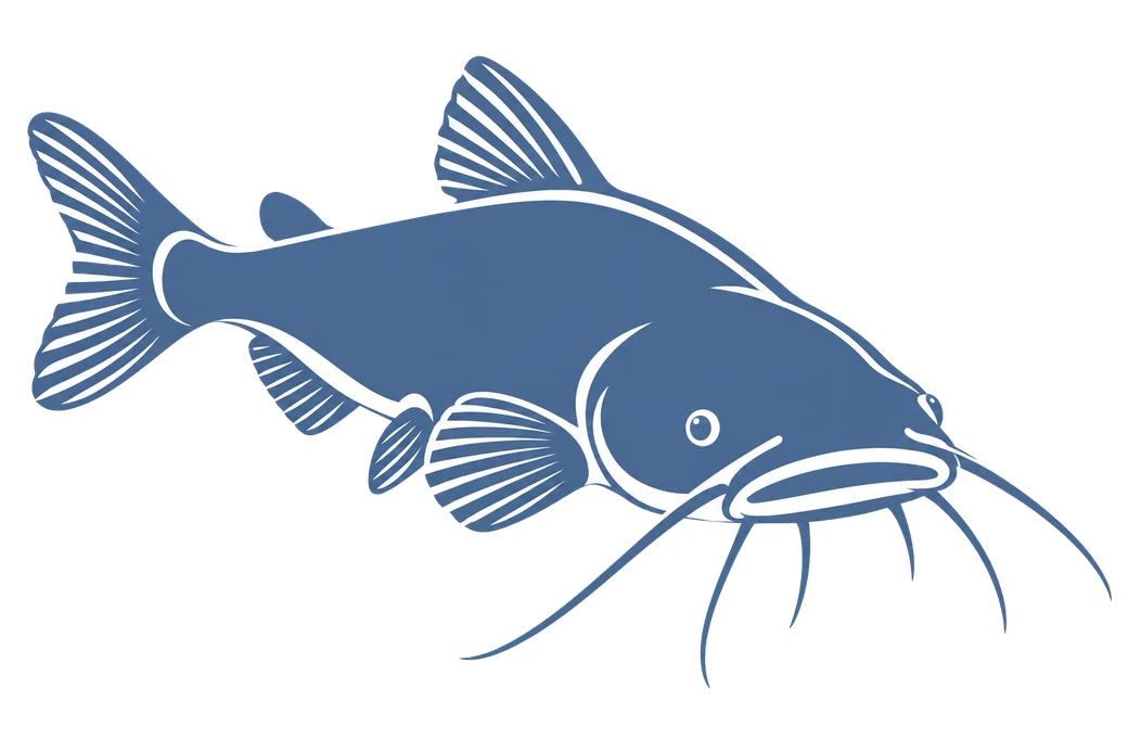 Zeichnung eines Welses mit langen Barteln als Symbol für Welse im Aquarium.