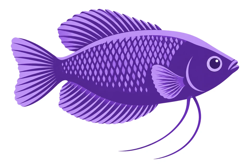 H04 icon kopf labyrinthfische Zeichnung eines violetten Fadenfisches als Symbol für Labyrinthfische.