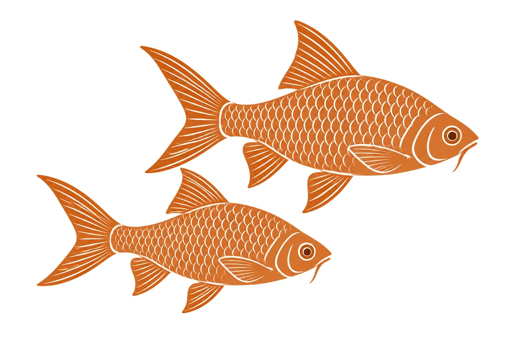 H05 icon kopf barben Zeichnung zweier orangefarbener Barben als Symbol für Barben im Aquarium.
