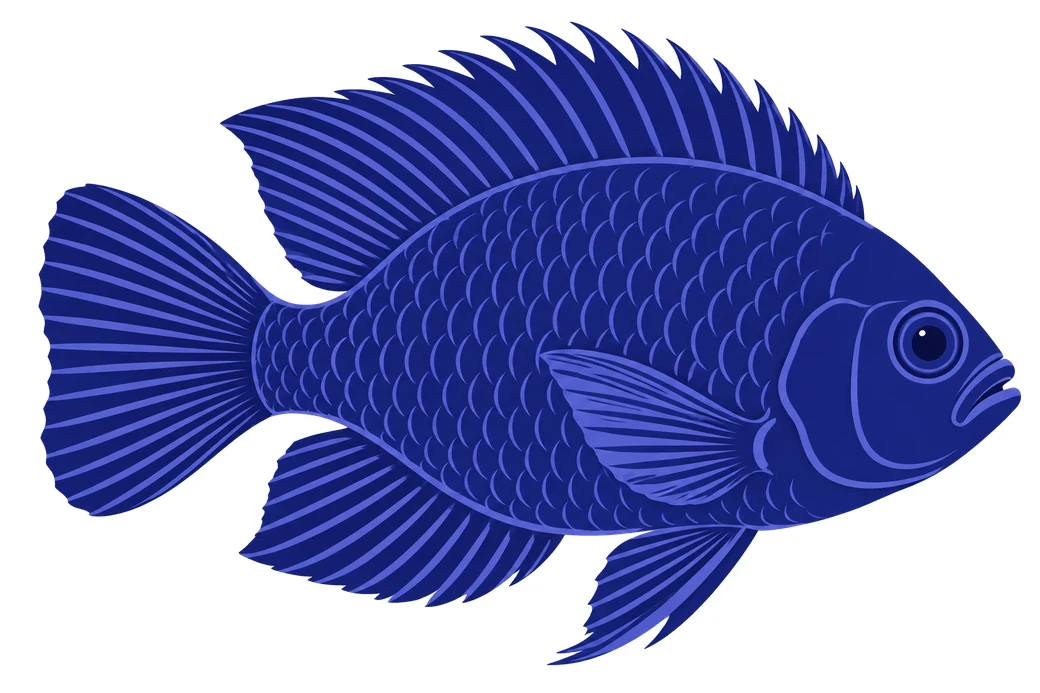 H06 icon kopf buntbarsche Zeichnung eines blauen Buntbarsches als Symbol für Buntbarsche.