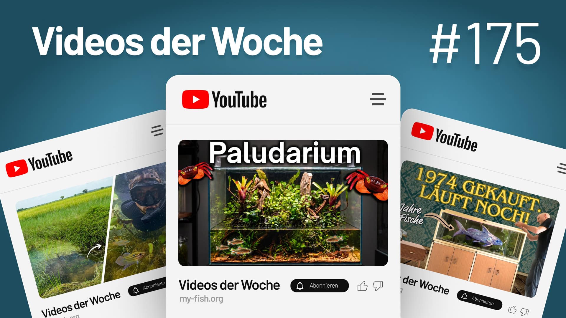 Youtube Videos der Woche 175