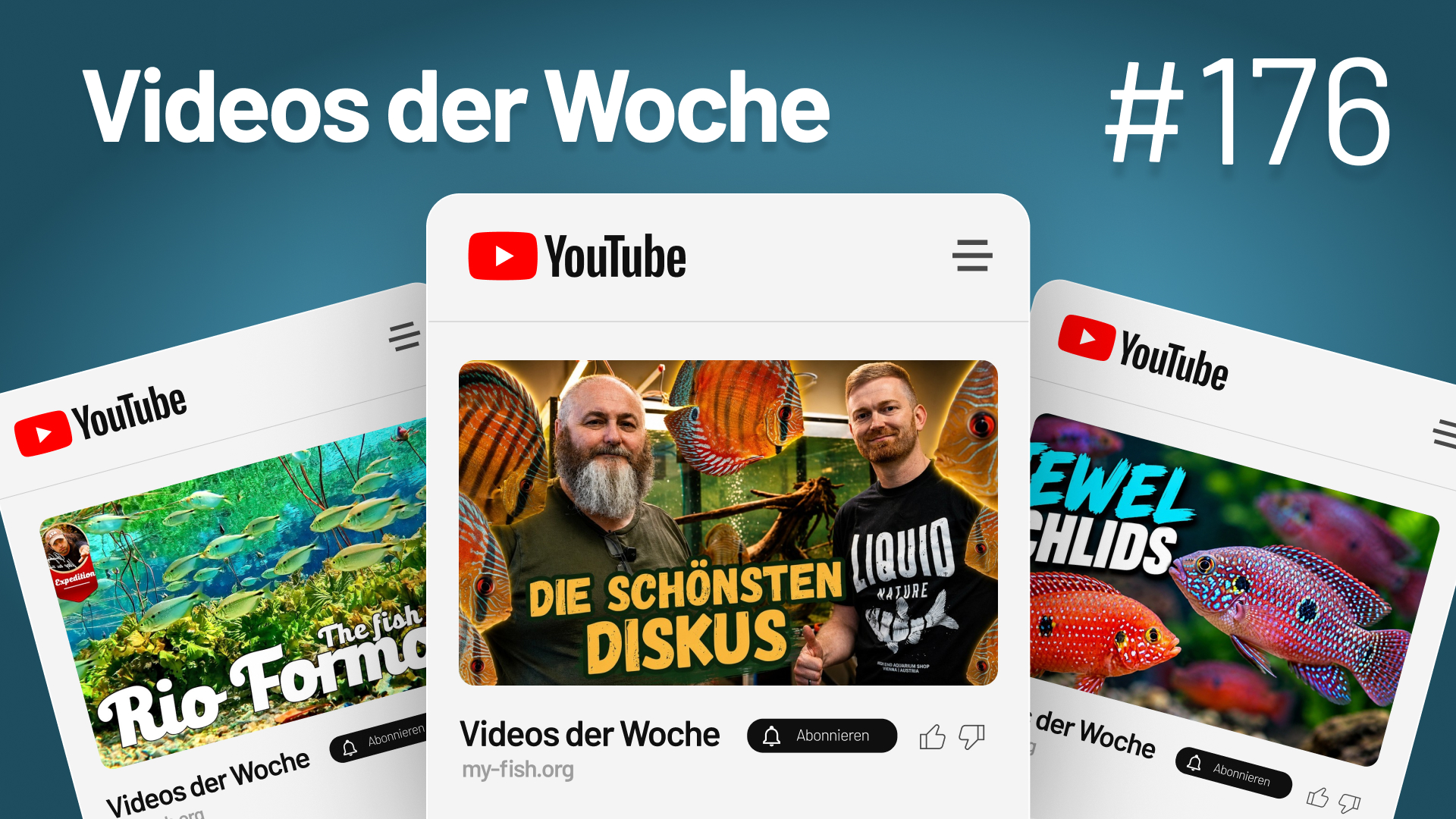 Videos der Woche Vol. 176