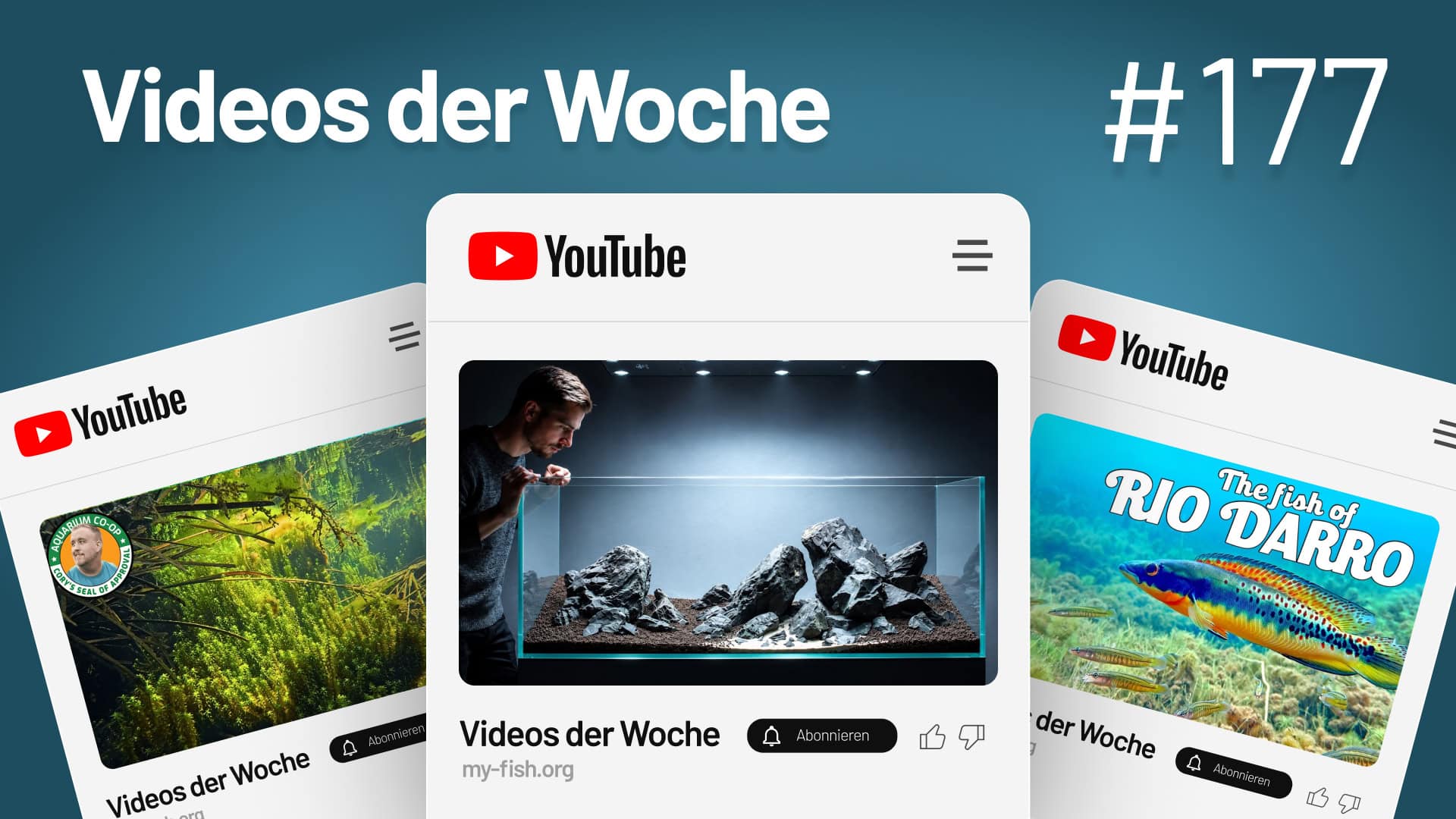 Videos der Woche Vol. 177