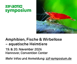 ZZF-Symposium: Amphibien, Fische und Wirbellose - aquatische Heimtiere. 19. und 20. November 2026, Hannover, Convention Center. Mehr Infos und Anmeldung.