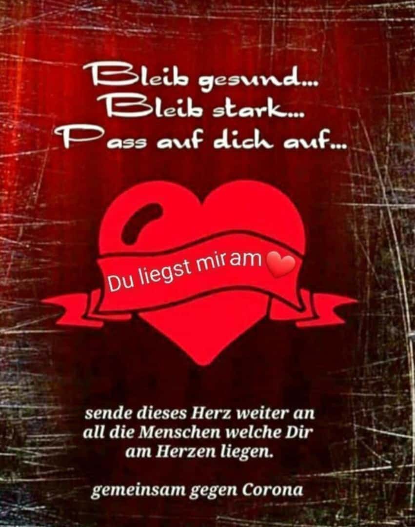 Futter, Bild 1