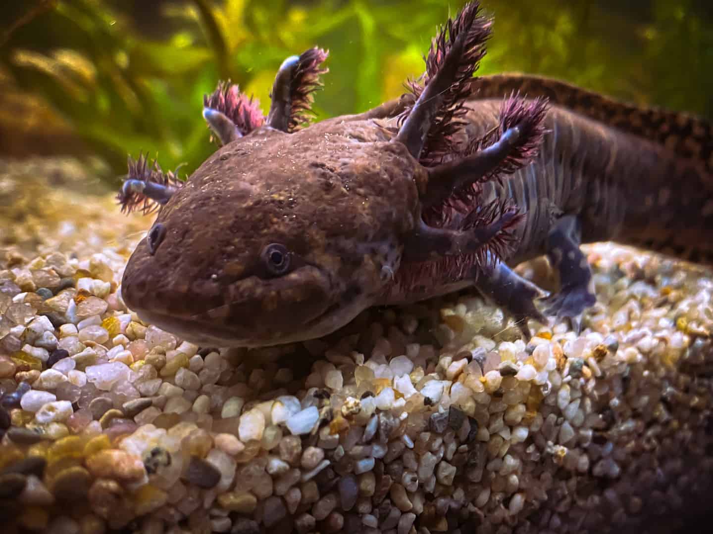 Umzug ins Aquarium, Bild 1