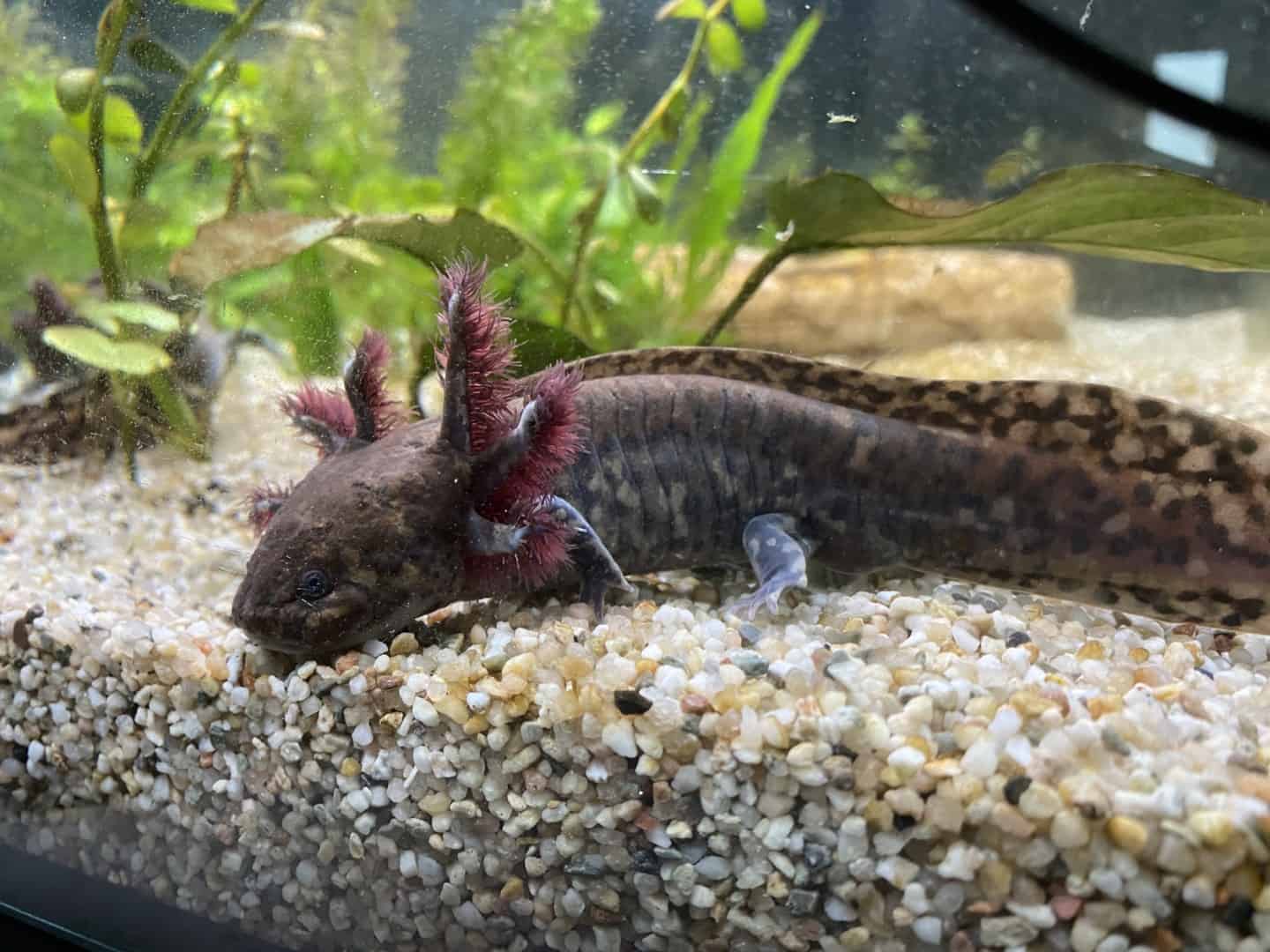 Umzug ins Aquarium, Bild 2