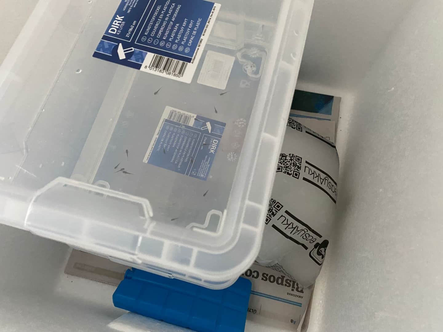 Die Ersten Larven sind geschlüpft!, Bild 3
